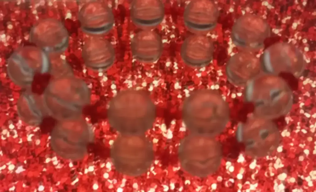 WhatsApp Image 2026-01-31 at 22.06.41 (8).webp